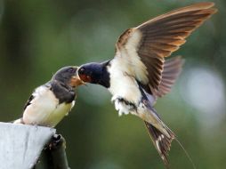 El 17 de febrero de 1836 nace el poeta español Gustavo Adolfo Bécquer. ARCHIVO  /