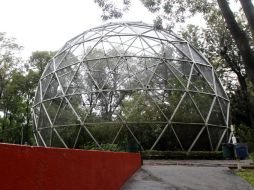 Camina por Guadalajara consiste en recorrer la ciudad y reflexionar acerca de su crecimiento urbano y su estructura social.  /