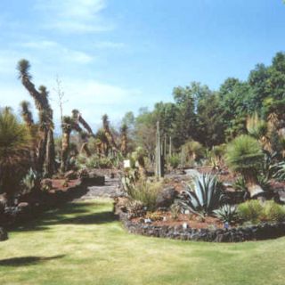 Manifiestan vínculo entre ciencia y arte