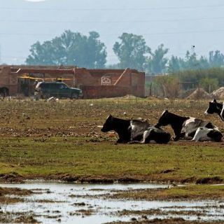 Defienden su estadía en la zona de la Presa El Ahogado