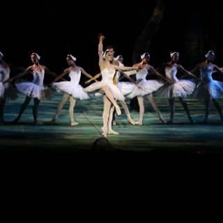 Preparan primera temporada de 2012 de 'El lago de los cisnes'