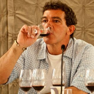 Antonio Banderas le regalaría a Almodóvar una botella magnum de sus vinos