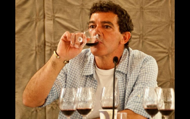 Su afición por el vino empezó hace ya tiempo, pero que se ''agudizó'' cuando abandonó España. EFE  /