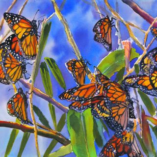 Un regalo de la Naturaleza