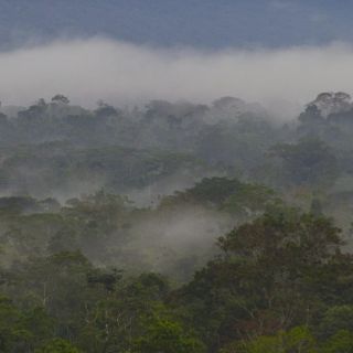 Premio Nobel mexicano plantea gravar emisiones de gases de efecto invernadero