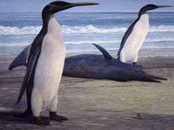 Recreación artística realizada por Chris Gaskin y cedida hoy por el Museo Geológico de la Universidad de Otago. EFE  /