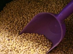 Entre las áreas de interés mutuo en la que trabajará este Consejo está la inocuidad y calidad de alimentos. ARCHIVO  /