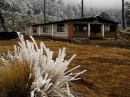 Temperaturas frescas a frías y heladas es el prónostico, sobre todo en sierras y zonas a campo abierto. ARCHIVO  /