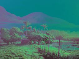 Todo el arte disponible en Arteamericas está a la venta. EFE  /