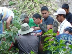 David de la Cruz Quirón, presentó contusiones en tórax y cráneo, pero no ponen en riesgo su vida.  /