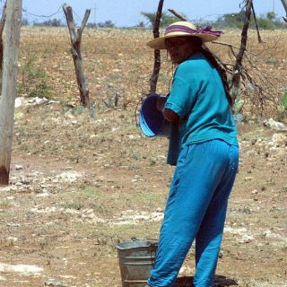 Conagua bloquea apoyos a varios municipios con sequía