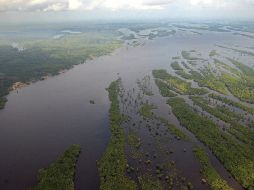 La corta de Ecuador presume graves daños en la Amazonía causados por la empresa petrolera estadounidense. ARCHIVO  /