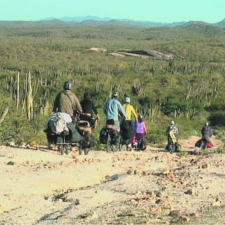 Bicis, música: acción