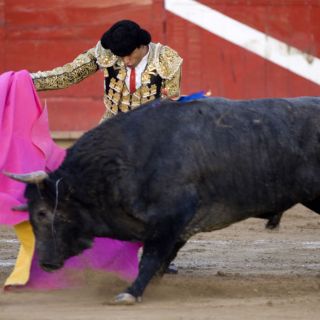 Atractiva jornada taurina de fin de semana