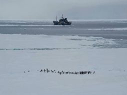El enfrentamiento contra la flota japonesa ocurrió en Territorio Antártico Australiano. ESPECIAL  /