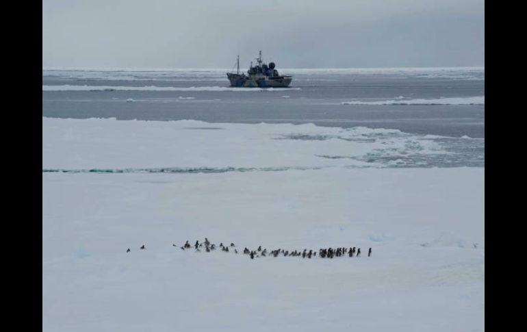 El enfrentamiento contra la flota japonesa ocurrió en Territorio Antártico Australiano. ESPECIAL  /