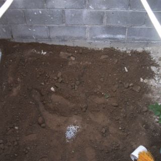 Determinan situación legal de padres de infante enterrada