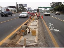 En la zona de Carretera Chapala se registró la tala de árboles; se desconoce a los responsables.  /