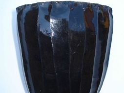 También fue localizado un afloramiento de grandes bloques en el sector sureste del cráter. NOTIMEX  /