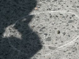 La víctima es la décima quinta fémina que es privada de la vida en forma violenta en lo que va de este año. ARCHIVO  /