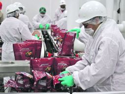 El objetivo del CVA es convertirlo en una “universidad” de empresas agroindustriales. ESPECIAL  /