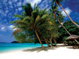 Vanuatu, un archipiélago volcánico, está situado en el Cinturón de Fuego del Pacífico. ESPECIAL  /