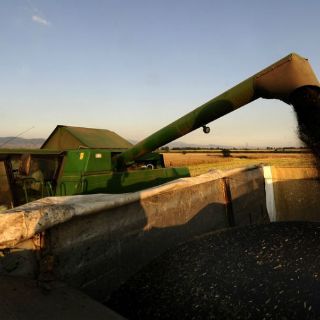 Mejoran tecnologías para la producción de bioenergéticos