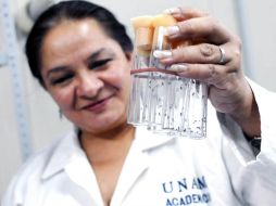 Patricia Ramos Morales, experta de la UNAM, comento que el uso de estos productos es muy comun entre los jovenes. AGENCIA ID  /