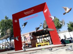 El Gobierno del Estado también impulsa una forma de autoempleo, en municipios fuera de la ZMG, con el proyecto CiberJal. ARCHIVO  /