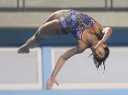 La tapatía Teresa Vallejo destacó hoy en la competencia de trampolín de un metro, donde quedó en primer sitio.  /