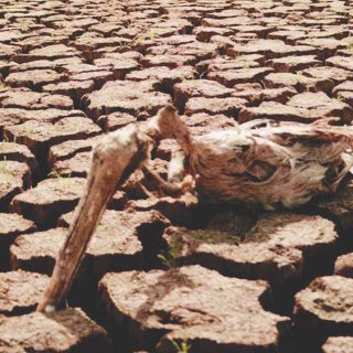 Aumentan recursos para zonas en sequía