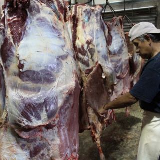 Industria de la carne será más competitiva