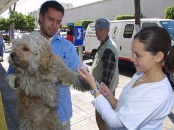 Cada uno de los centros de salud contará con un puesto de vacunación fijo.  ARCHIVO  /