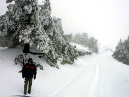 Participarán también expertos en tecnología. ARCHIVO  /