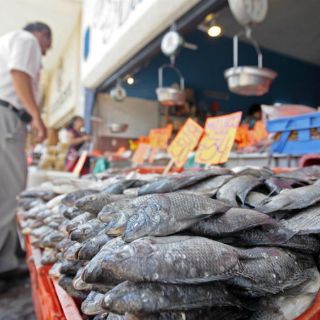 Sube consumo de pescado en Jalisco por Cuaresma: Sagarpa