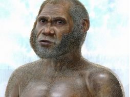 Reconstrucción artística de un hombre de la Edad de Piedra. EFE  /