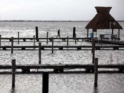 La iniciativa fue impulsada por la Asociación de Propietarios e Inversionistas de la Riviera Maya. ARCHIVO  /