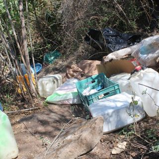 Policías estatales desmantelan un narcolaboratorio y dos plantíos de mariguana