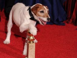Uggie ha estado bajo los reflectores desde hace tiempo. AFP  /