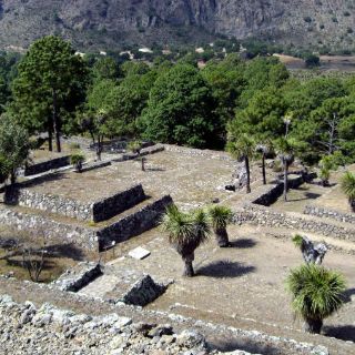 Área de visita a megaurbe prehispánica es ampliada 20 hectáreas