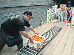 México vendió a Estados Unidos aguacate, cerveza, tequila, azúcar, becerros en pie y alimentos hortícolas.  /