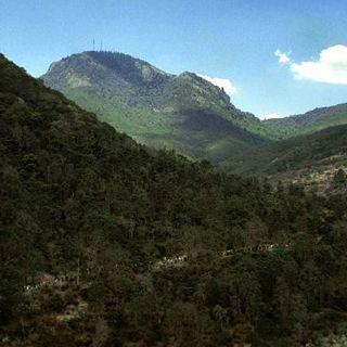 Tavera presentará trilogía literaria