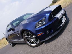 La estampa del Shelby, con esa cobra al frente es intimidante. ESPECIAL  /