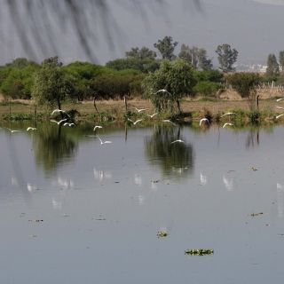 La Conagua garantiza limpieza total del Río Santiago