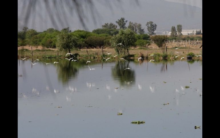 Aseguran que el río se encuentra totalmente libre de arsénico y dejará de recibir aguas residuales. ARCHIVO  /