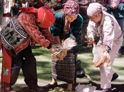 La relación de las dos identidades, el ser chuj y ser mexicano, ha sido difícil de reconocerse y de establecerse. ARCHIVO  /