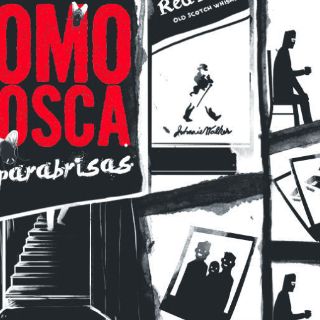 Como Mosca en parabrisas