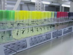 Especies en el interior del CNRG, proyecto de conservación de recursos  /