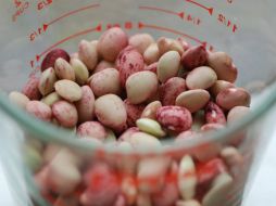 Phaseolus lunatus es una de las cinco especies domesticadas de frijoles. ID  /