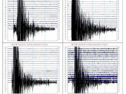 Gráfico cedido por el Servicio Sismológico Nacional del movimiento telúrico que sacudió hoy al país. EFE  /